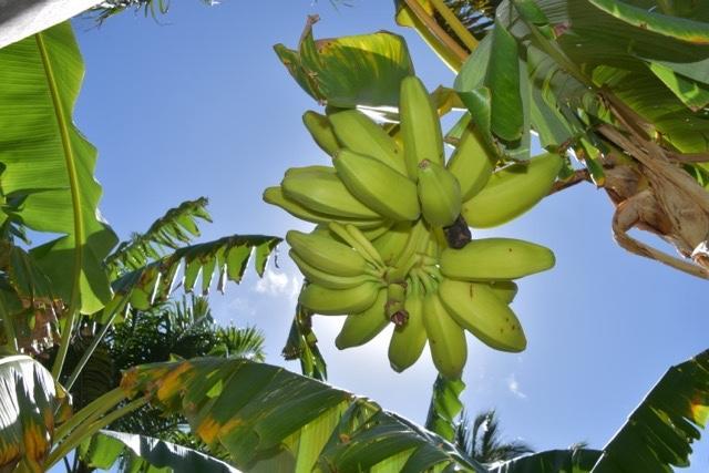 Pousada Malea Icaraí Exterior foto